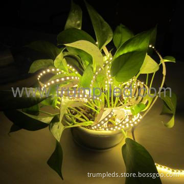 High Output Non Waterproof Christmas SMD 3528 LED Strip